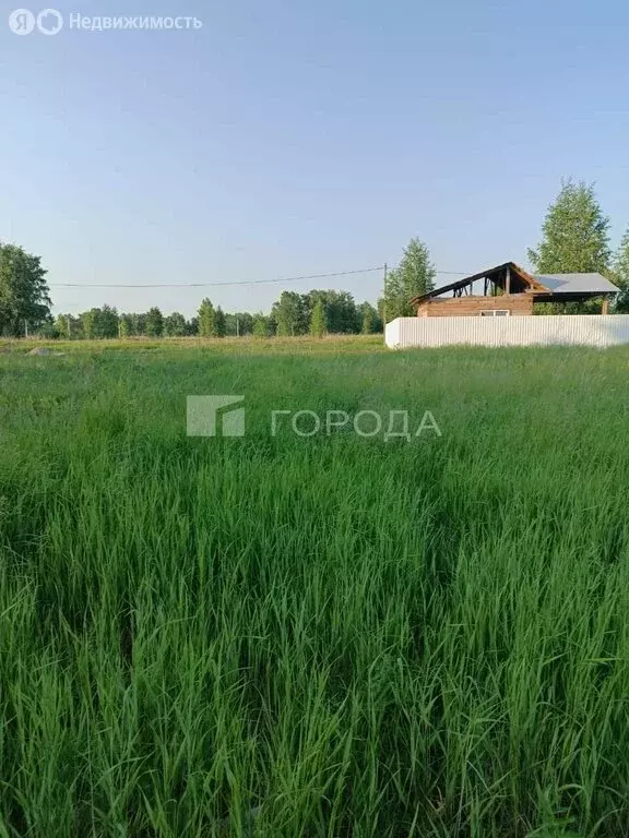 Участок в Новосибирский район, Верх-Тулинский сельсовет, ДНТ Берёзка, ... - Фото 0