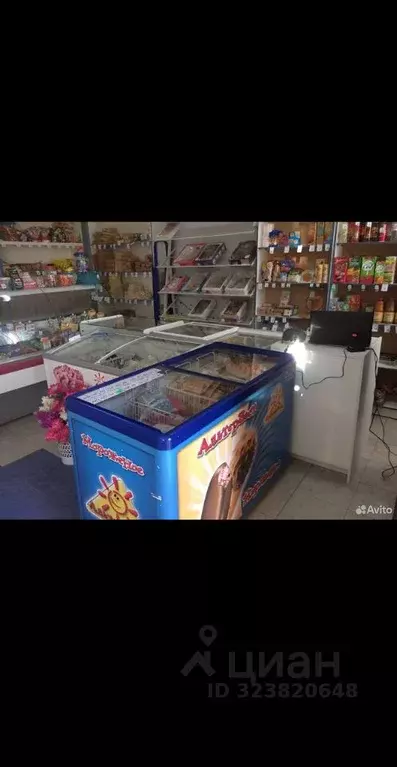 Помещение свободного назначения в Краснодарский край, Славянский ... - Фото 1