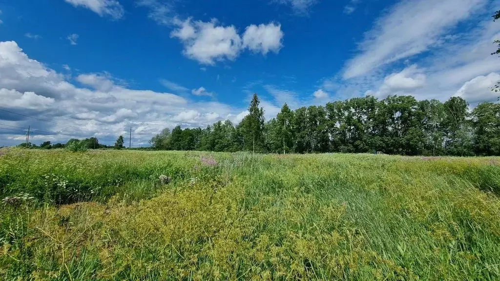 Участок в Ленинградская область, Ломоносовский район, Лопухинское ... - Фото 2