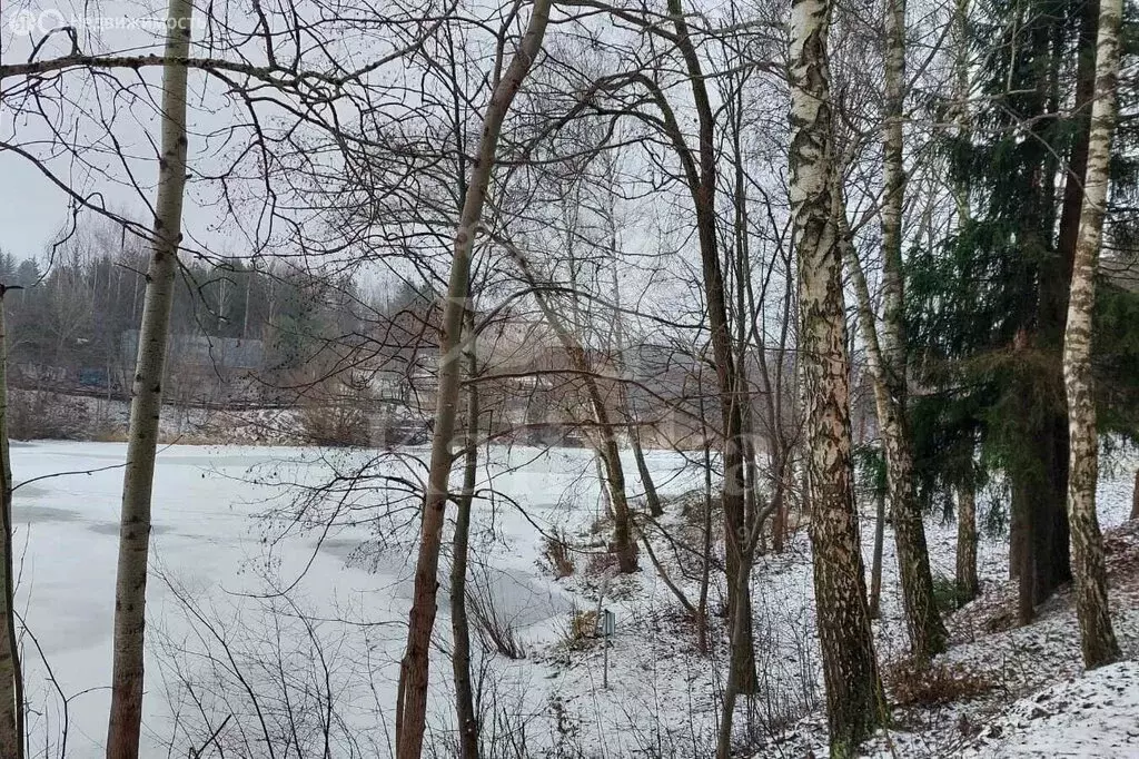 Участок в деревня Подушкино, территория Подушкино-Таун (33.92 м) - Фото 1