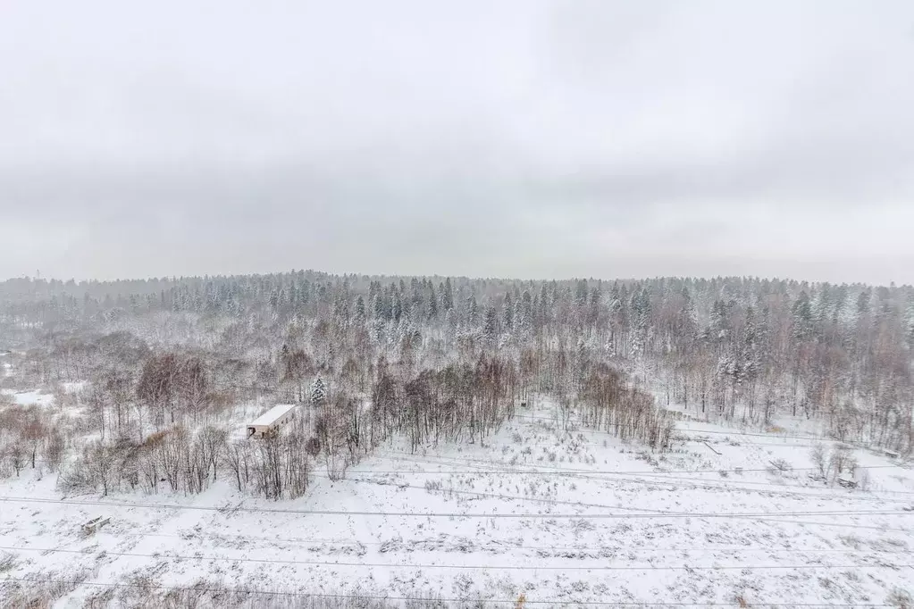 Студия Санкт-Петербург пос. Парголово, дор. Ольгинская, 3/20 (36.6 м) - Фото 1