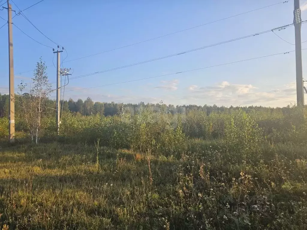 Участок в Тюменская область, Тюменский район, с. Салаирка  (20.84 ... - Фото 1