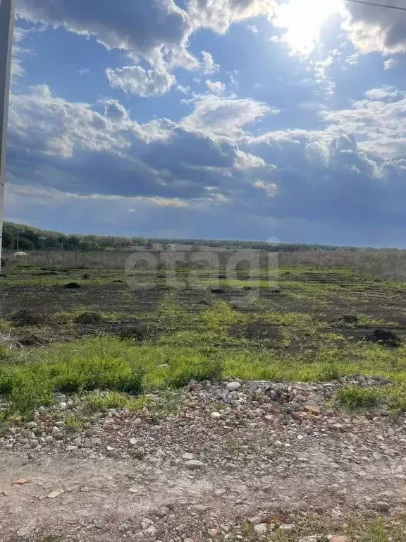 Участок в Воронежская область, Семилукский район, с. Девица ул. ... - Фото 1