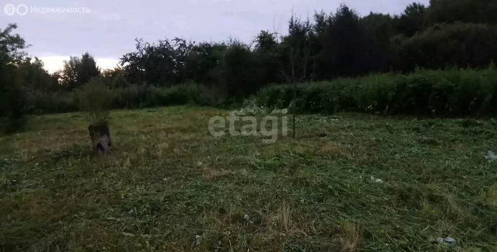 Участок в Калининградская область, Зеленоградский муниципальный округ, ... - Фото 1