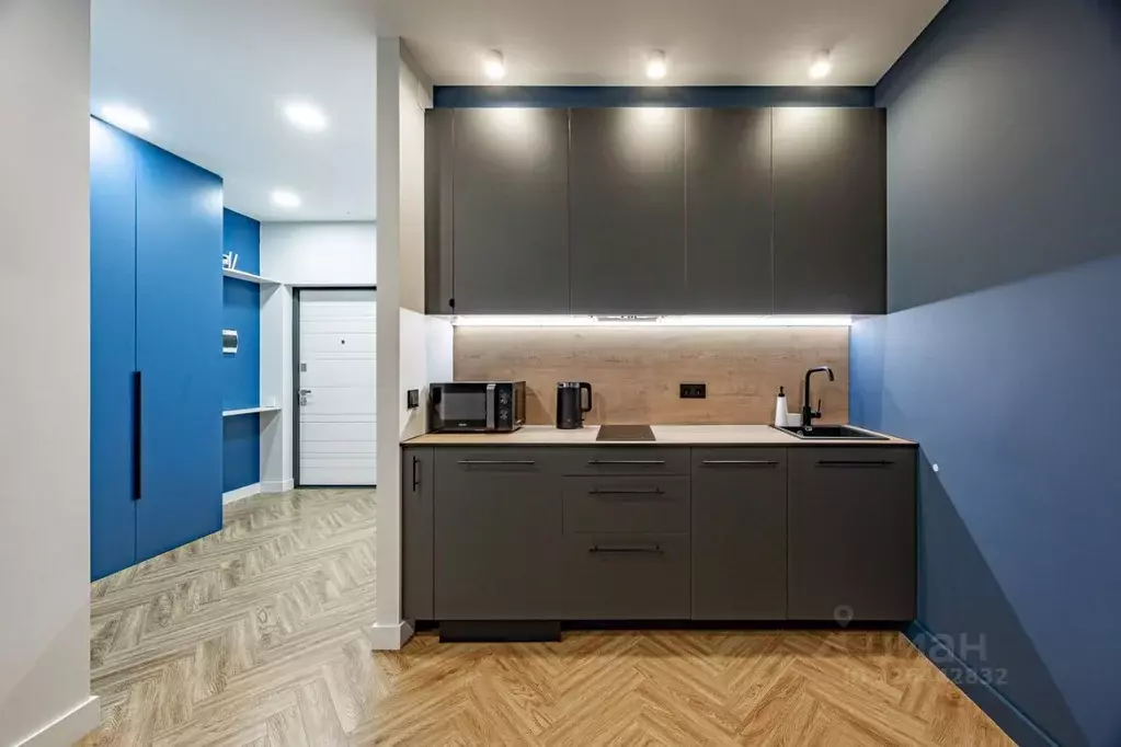 Студия Санкт-Петербург Вазаский пер., 3 (32.0 м) - Фото 1