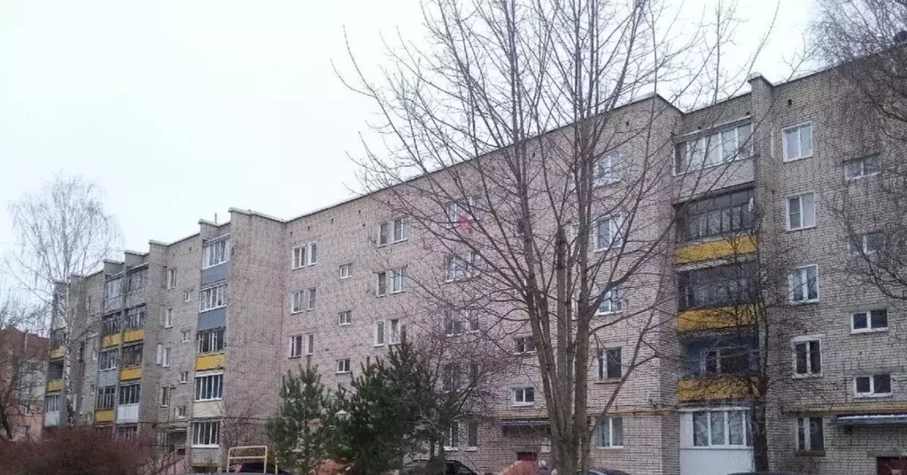 3-к кв. Ивановская область, Иваново ул. 3-я Петрозаводская, 16 (58.3 ... - Фото 0