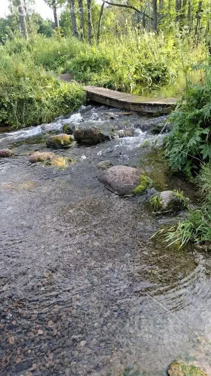 Участок в городской посёлок Тайцы, массив Восточный (6 м) - Фото 1