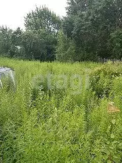 Участок в Брянская область, Брянский район, Новодарковичское с/пос, д. ... - Фото 0