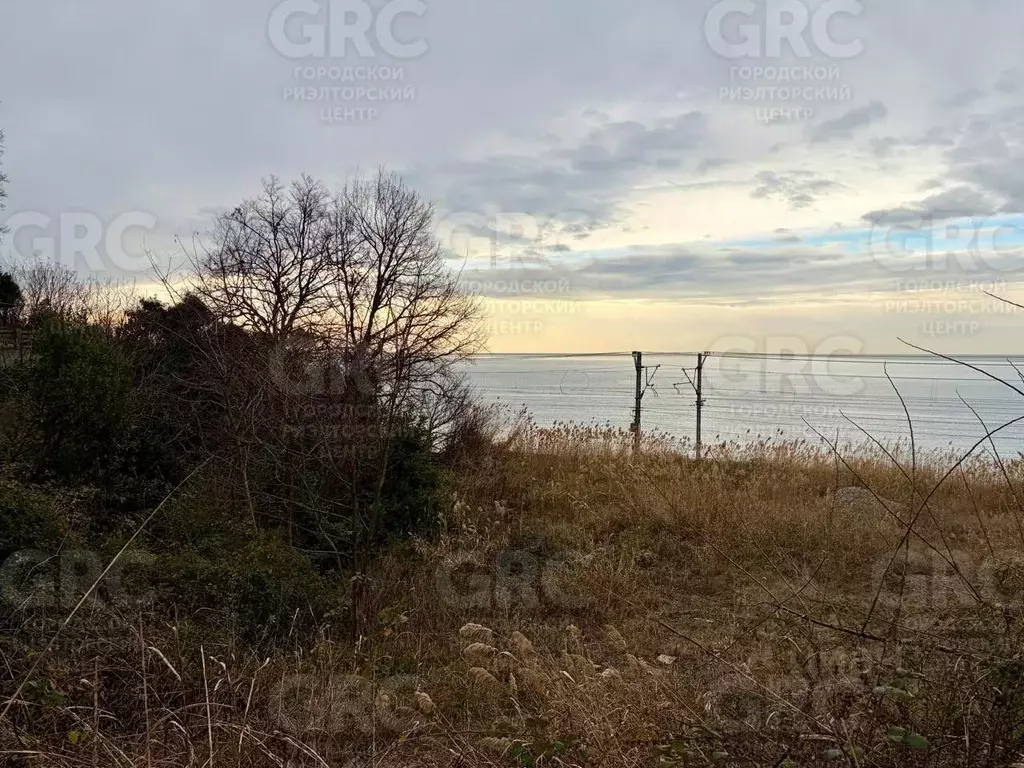 Участок в Краснодарский край, Сочи городской округ, Дагомыс пгт  (11.0 ... - Фото 1