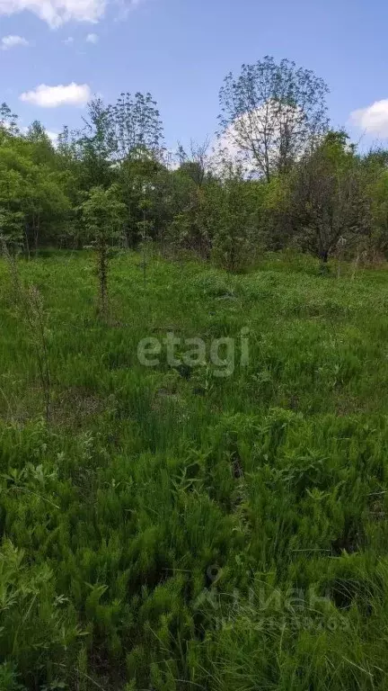 Участок в Хабаровский край, Хабаровск  (6.0 сот.) - Фото 1