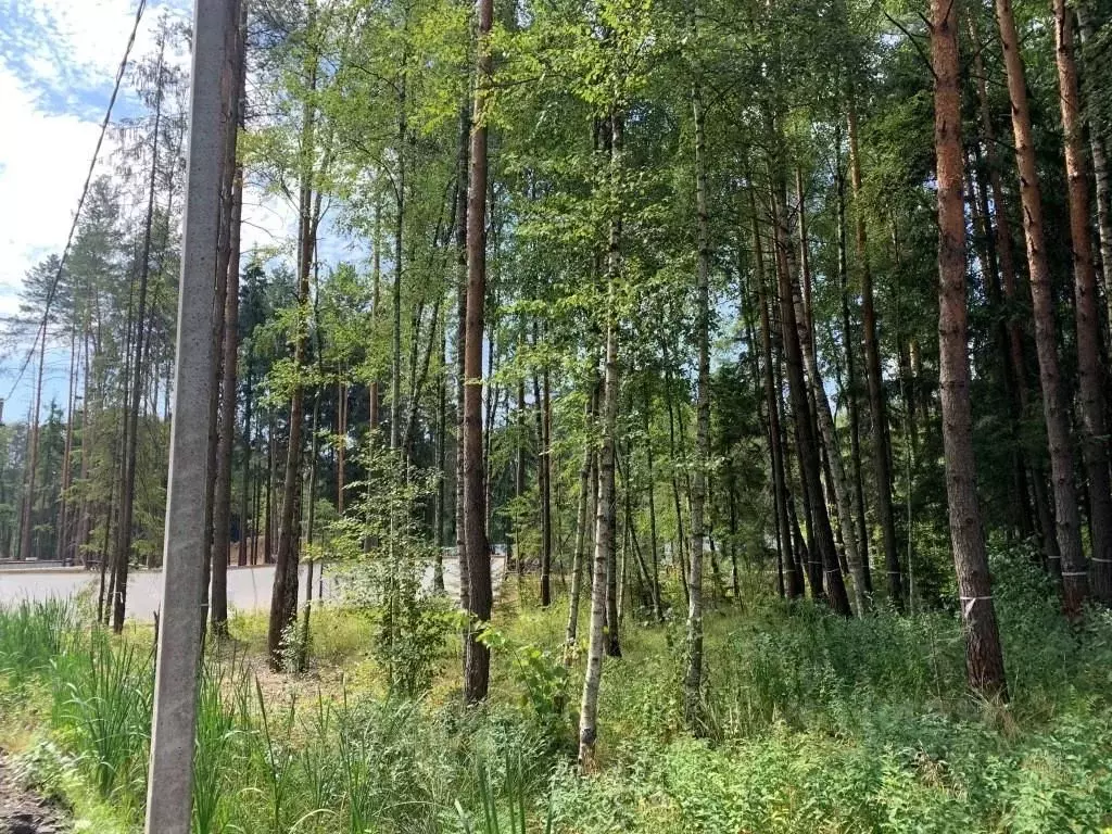 Участок в Московская область, Химки Новогорск Лес ТСН,  (25.86 сот.) - Фото 1