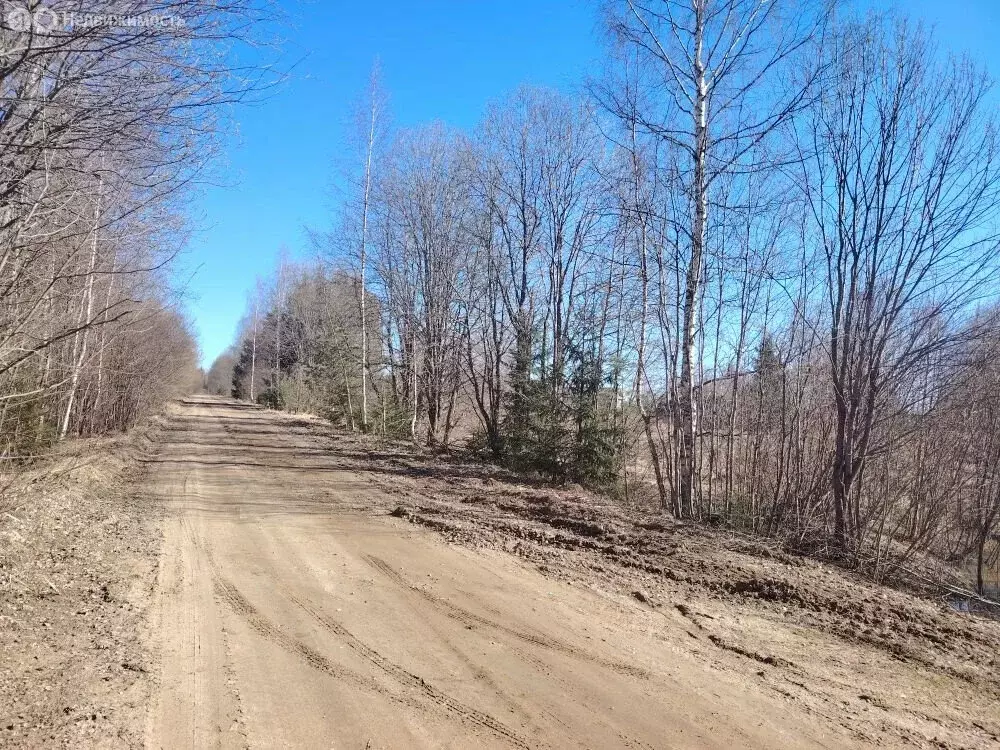 Участок в Пашское сельское поселение, деревня Кизлярское (11 м) - Фото 2