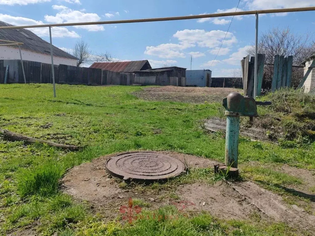 Участок в Белгородская область, Ивнянский район, с. Новенькое ул. ... - Фото 2