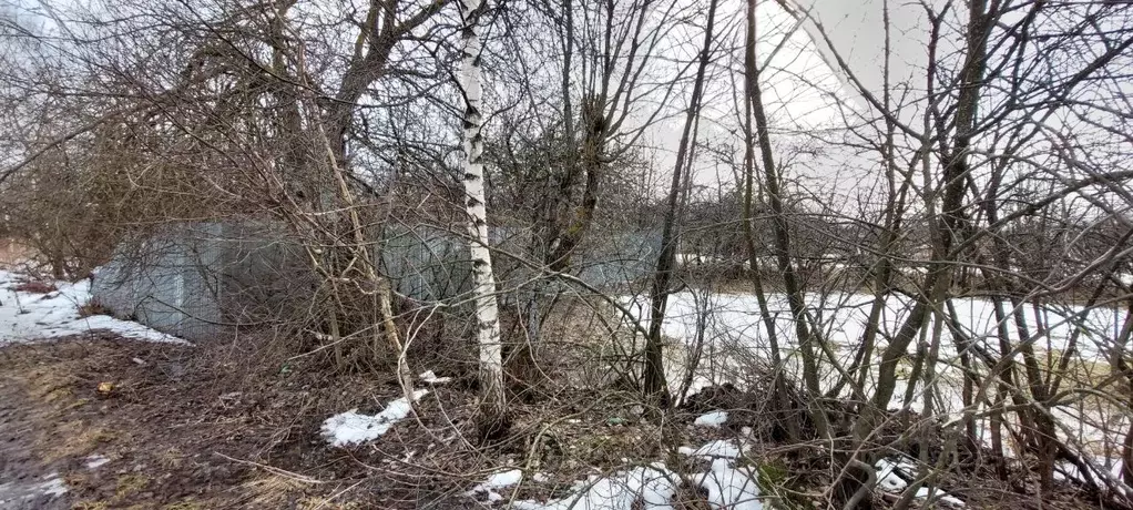 Участок в Нижегородская область, Сосновский муниципальный округ, д. ... - Фото 1