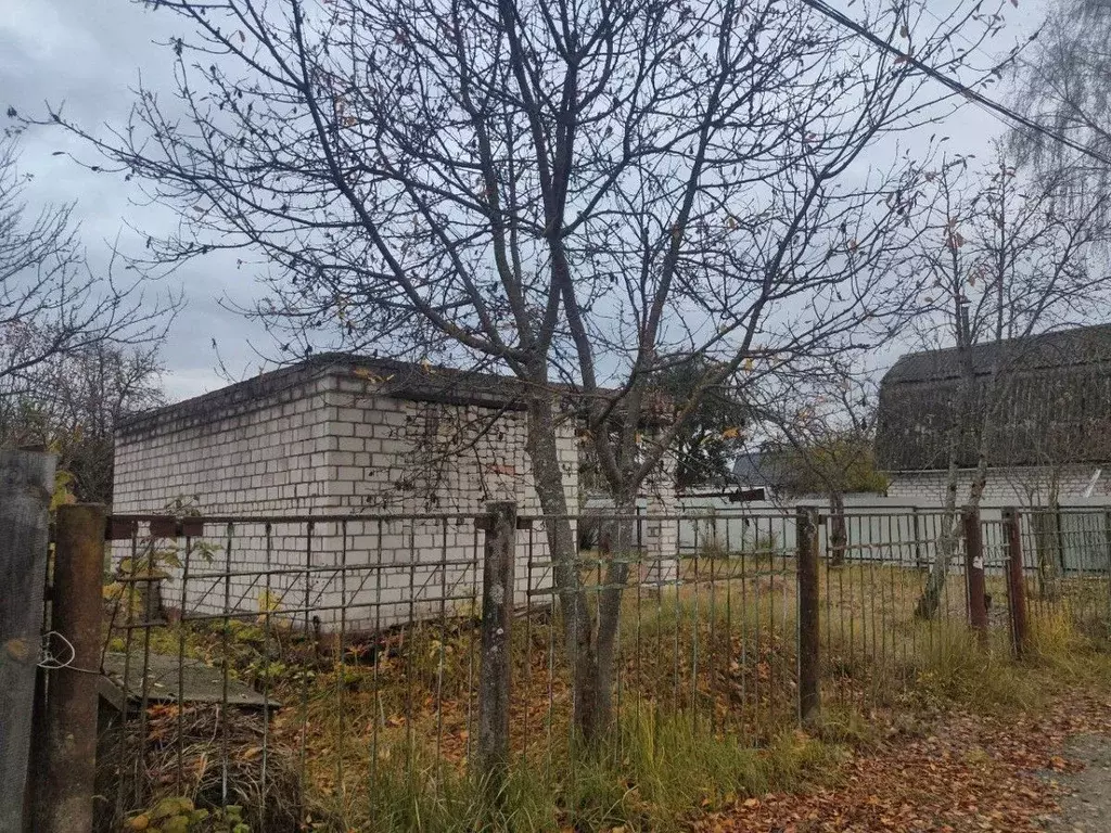 Участок в Брянская область, Брянский район, Снежское с/пос, с. ... - Фото 2