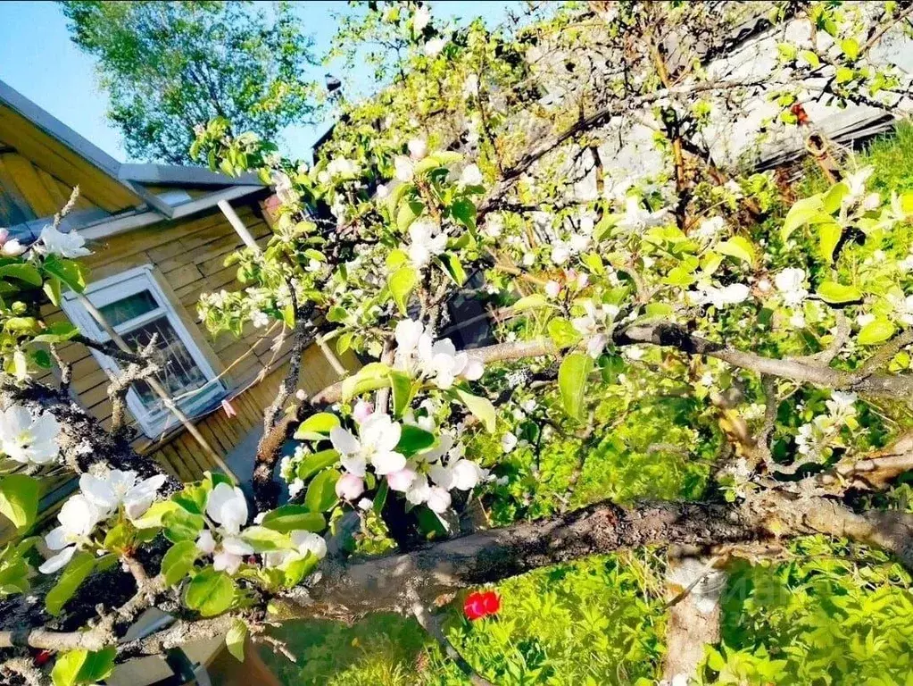 Дом, 45 м - Фото 2