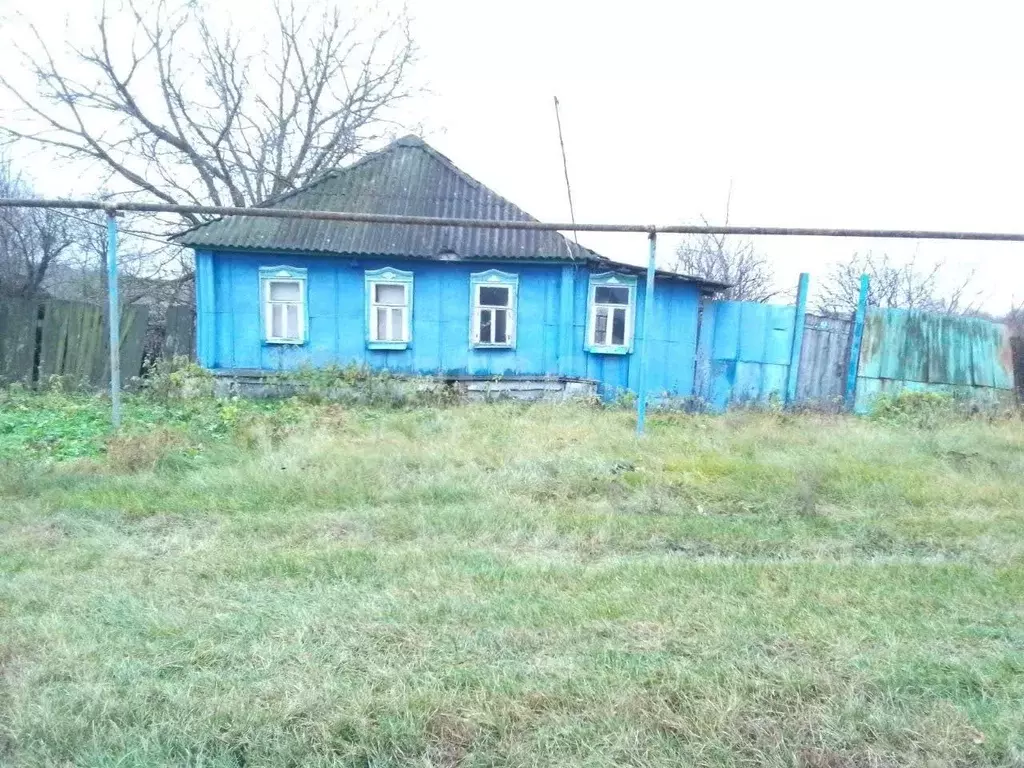 Дом в Белгородская область, Новооскольский муниципальный округ, с. ... - Фото 1