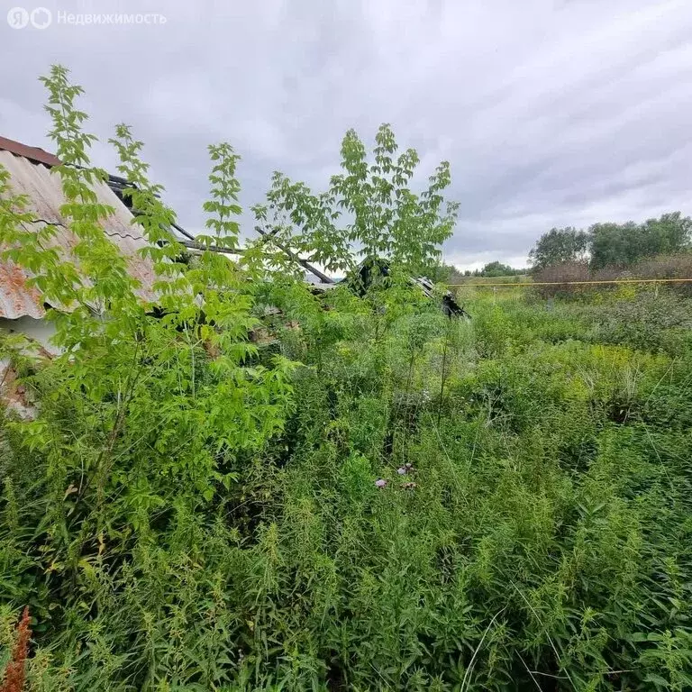 Участок в Пласт, Профессиональный переулок (20 м) - Фото 2