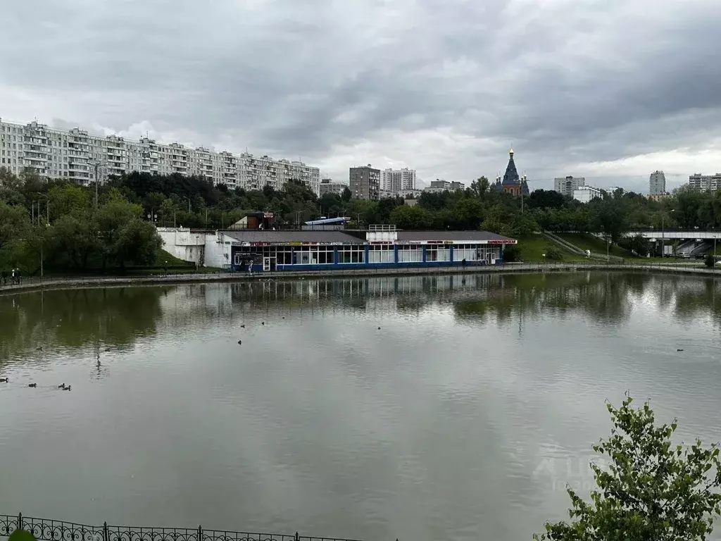 Помещение свободного назначения в Москва Северное Чертаново мкр, к208 ... - Фото 0