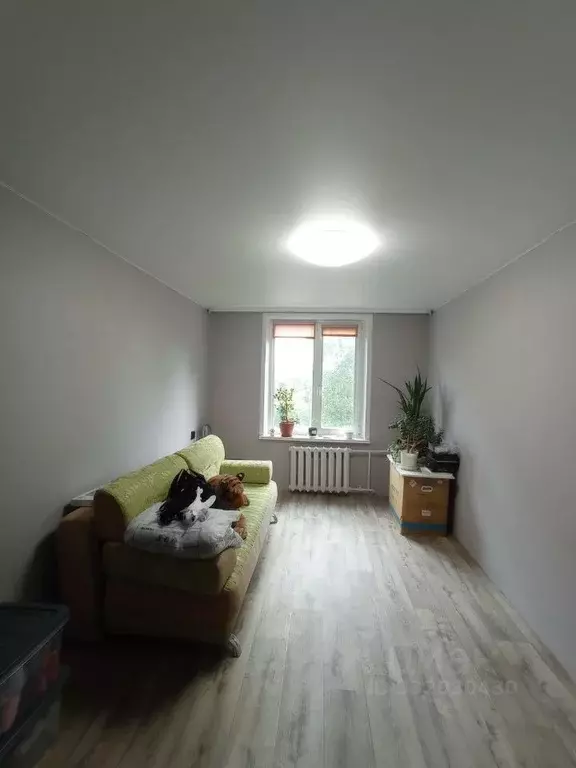 2-к кв. Пермский край, Пермь ул. Шишкина, 29 (46.2 м) - Фото 2