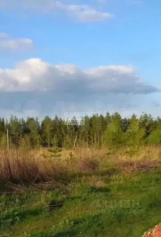 Участок в Орловская область, Орловский муниципальный округ, Неполодь ... - Фото 1