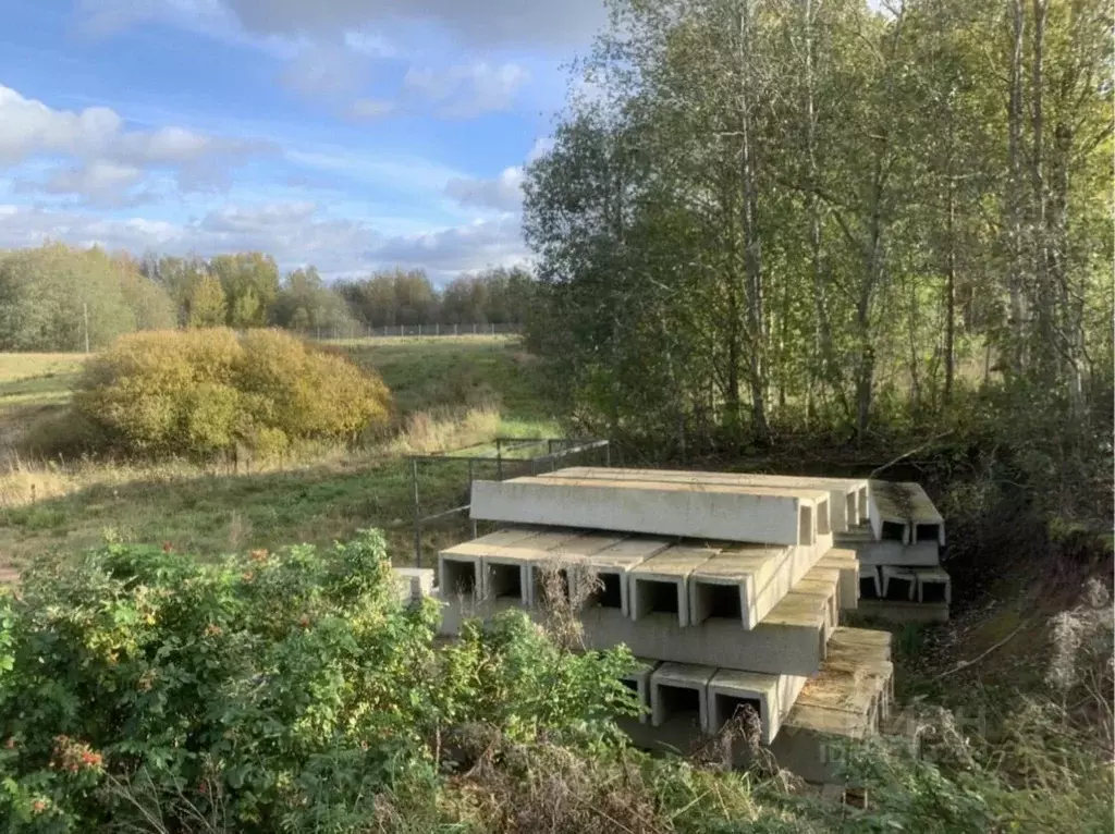 Участок в Ленинградская область, Выборгский район, Полянское с/пос, ... - Фото 2