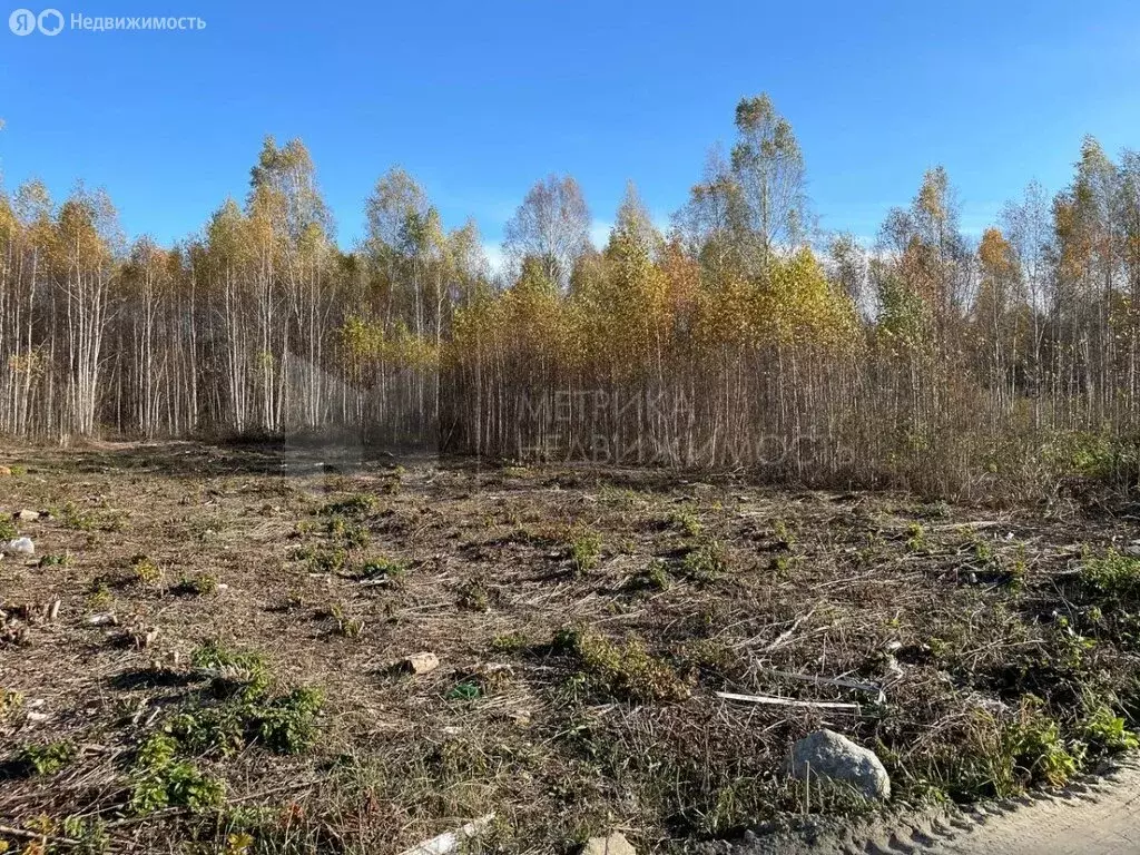 Участок в Нижнетавдинский район, садовое товарищество Моторостроитель, ... - Фото 1