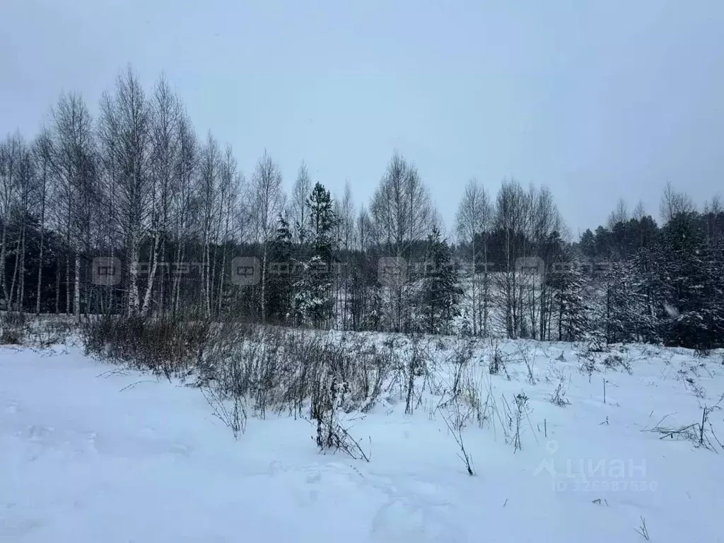 Участок в Татарстан, Казань Белозерская ул., 35 (14.0 сот.) - Фото 2