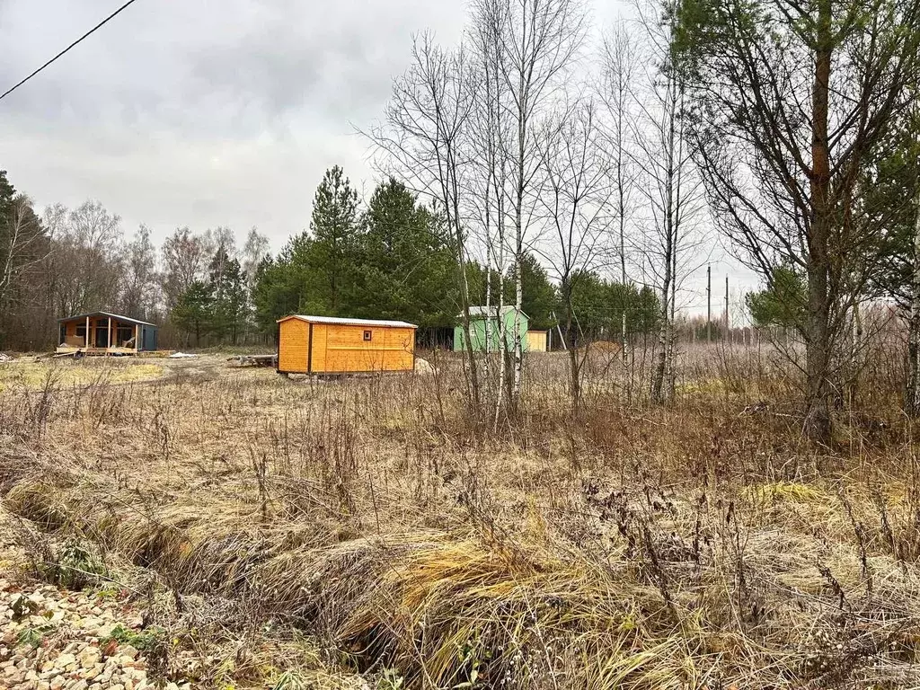 Участок в Тульская область, Заокский район, Страховское с/пос, д. ... - Фото 2