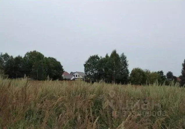 Участок в Московская область, Дмитровский муниципальный округ, с. ... - Фото 1