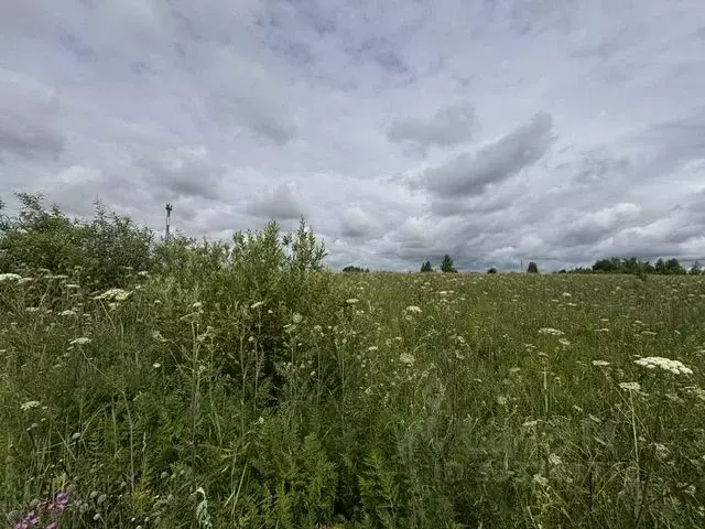 Участок в Московская область, Воскресенск городской округ, д. ... - Фото 1