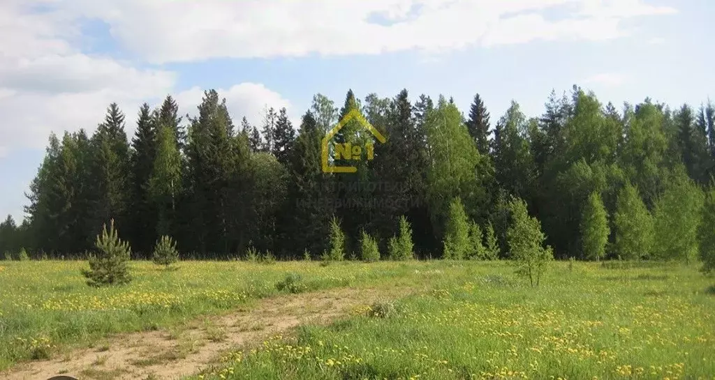 Участок в Челябинская область, Сосновский муниципальный округ, ... - Фото 0