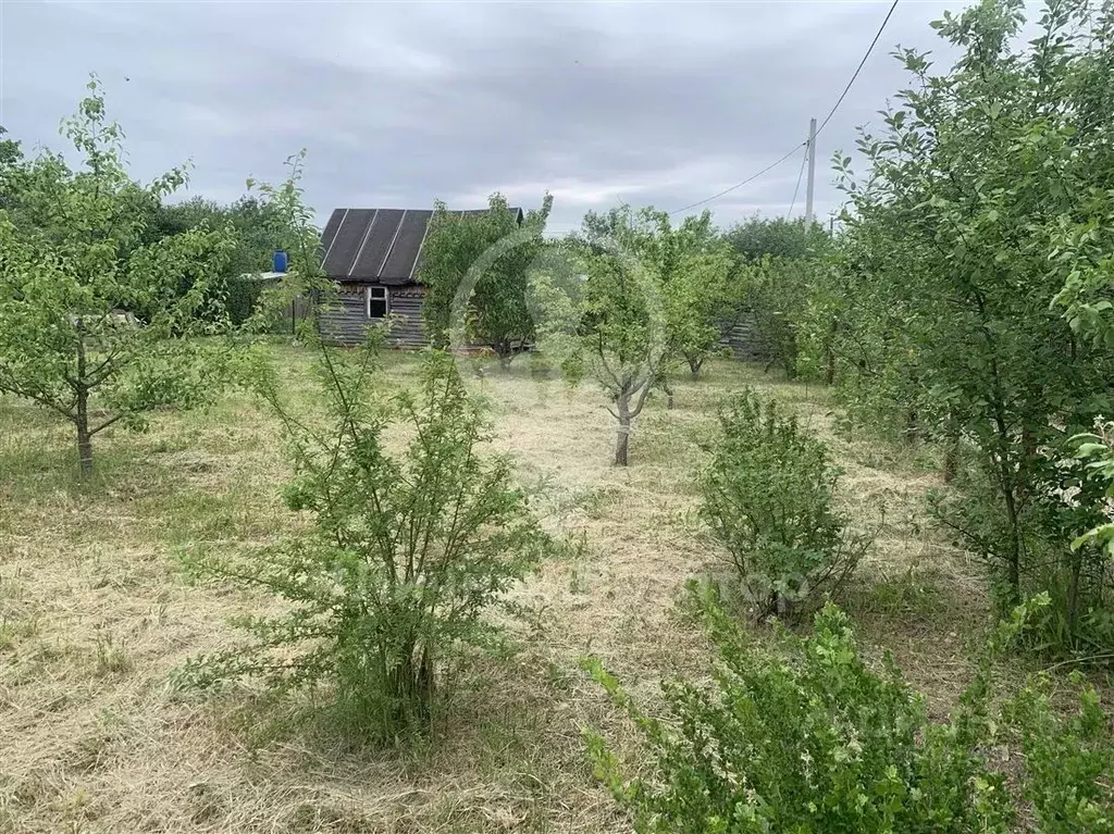 Участок в Рязанская область, Рязань Весна СТ, 365 (6.0 сот.) - Фото 1