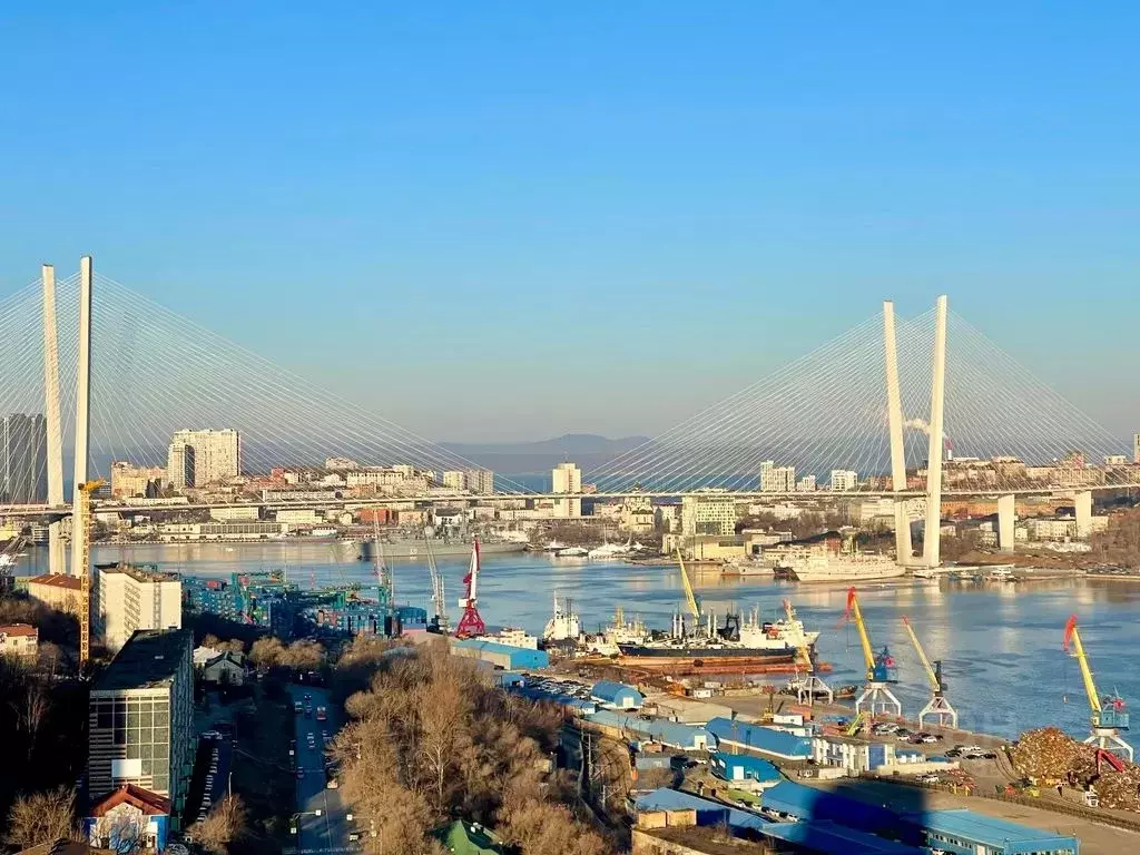 2-к кв. Приморский край, Владивосток ул. Можжевеловая, 18 (45.0 м) - Фото 0
