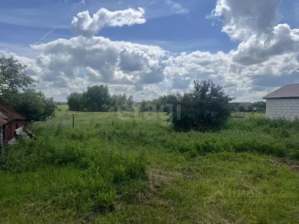 Дом в Саратовская область, Балашовский район, с. Большой Мелик ул. ... - Фото 1