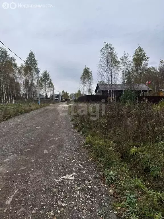 Участок в Московская область, муниципальный округ Чехов, деревня ... - Фото 1