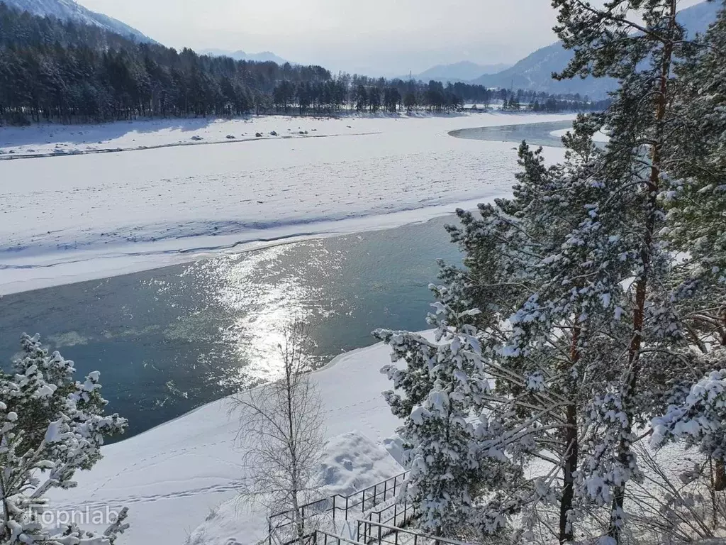 Помещение свободного назначения в Алтай, Чемальский район, с. Аюла ... - Фото 2