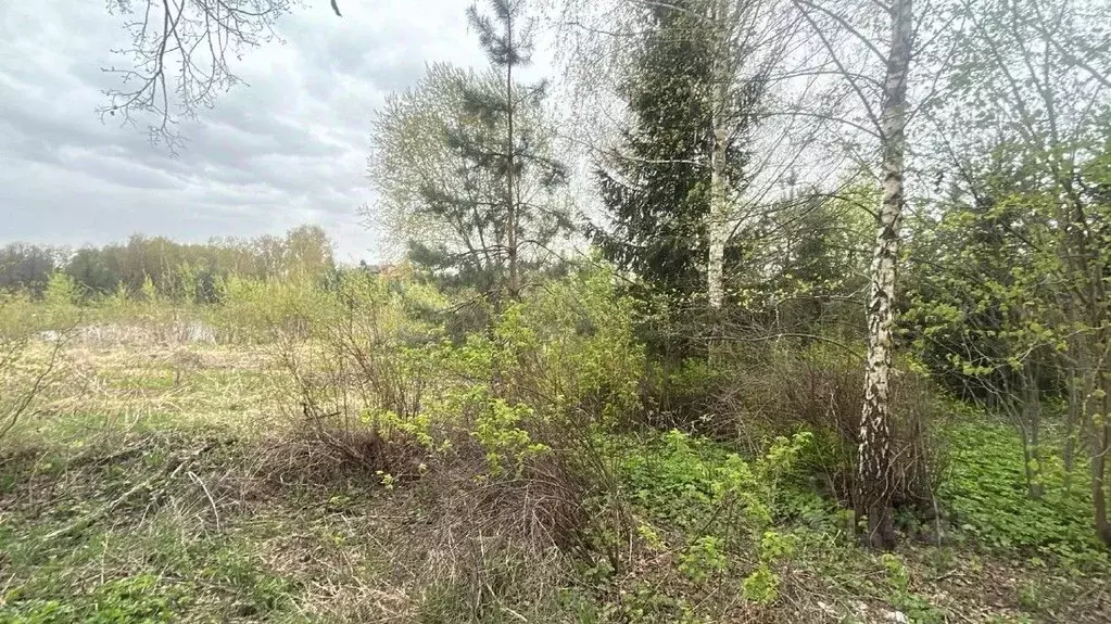 Участок в Московская область, Ступино городской округ, д. Чирково ул. ... - Фото 0