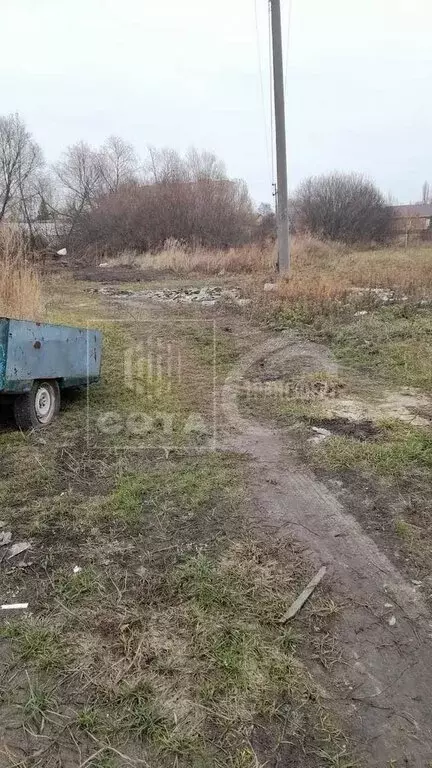 Участок в Воронежская область, село Новая Усмань (10 м) - Фото 0