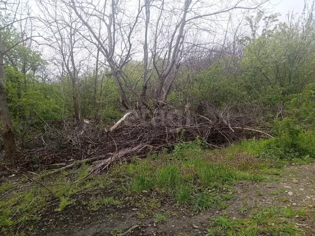 Участок в Ставропольский край, Ставрополь Коллективная ул., 47 (9.0 ... - Фото 2