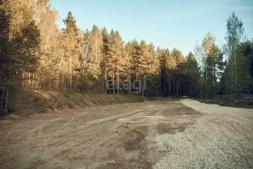 Участок в Калужская область, Совхоз Боровский с/пос, Бора-Боровск ... - Фото 0