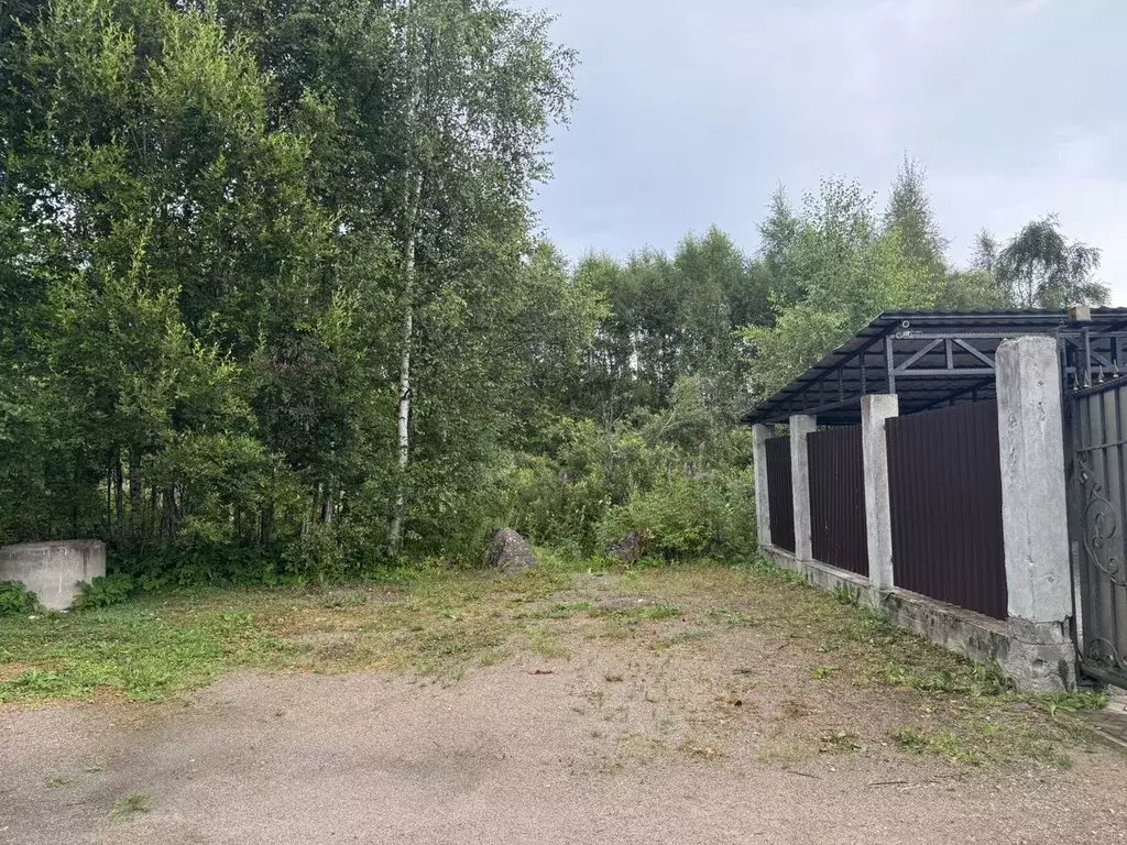 Участок в Ленинградская область, Выборг проезд Брусничный (12.0 сот.) - Фото 1