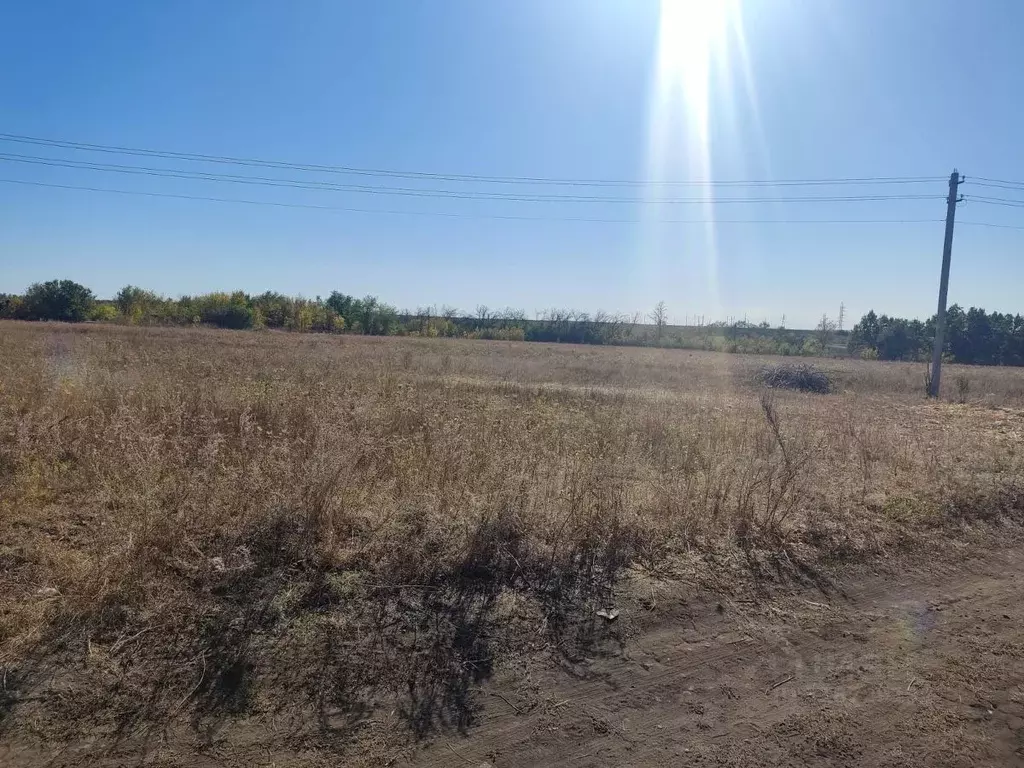 Участок в Воронежская область, Россошанский район, Новопостояловское ... - Фото 1