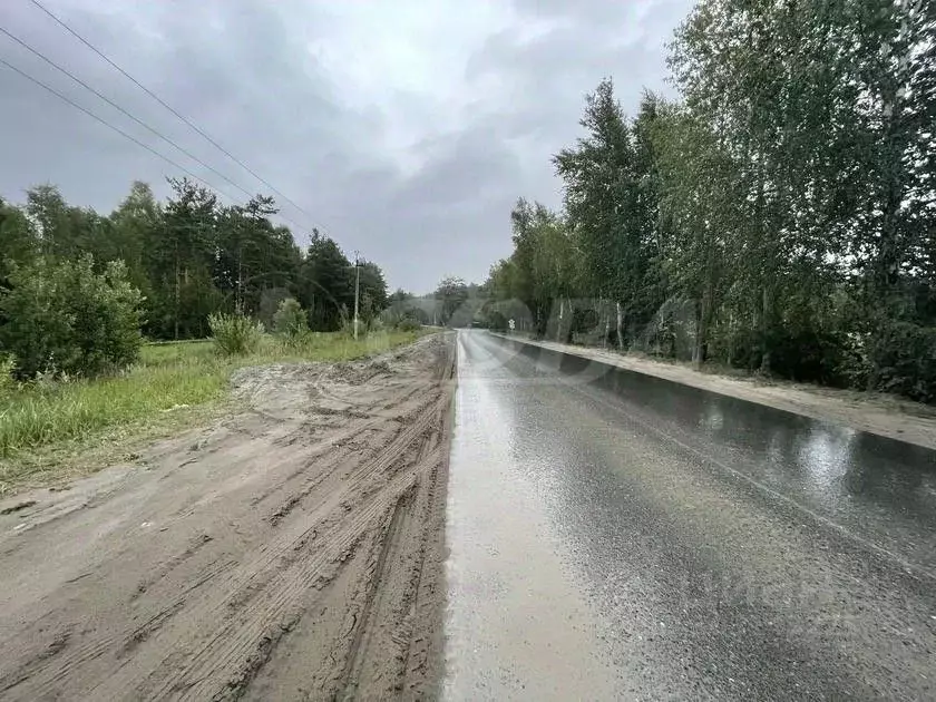 Участок в Тюменская область, Тюменский район, Птицевод садовое ... - Фото 0