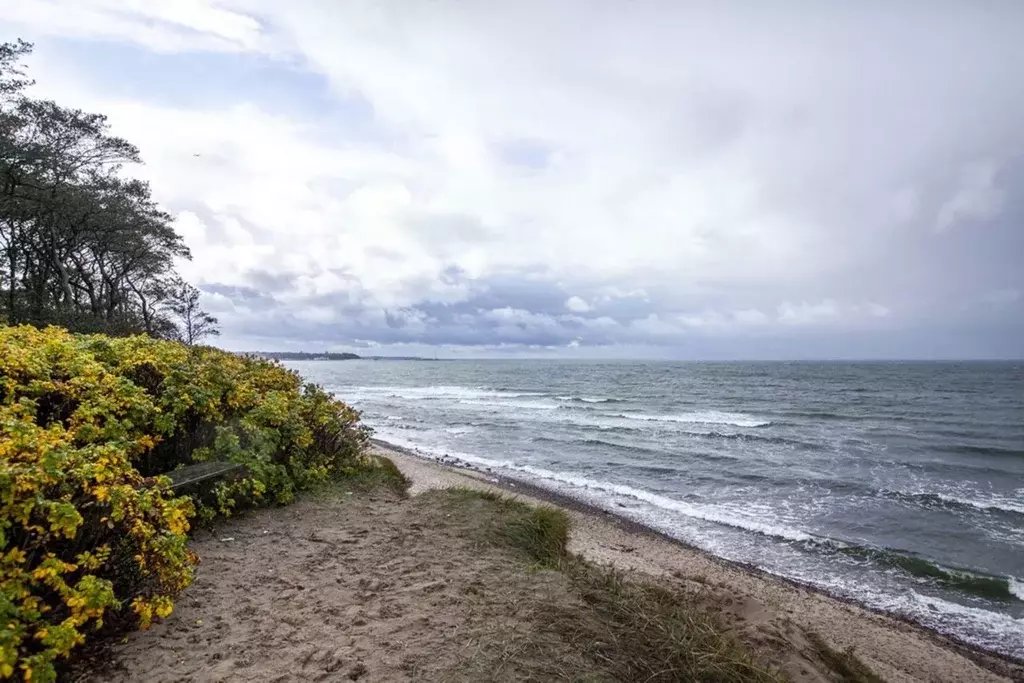 Дом в Калининградская область, Зеленоградский муниципальный округ, ... - Фото 2