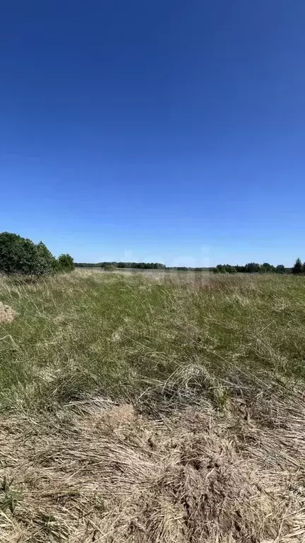 Участок в Калужская область, Перемышльский район, Хотисино с/пос, д. ... - Фото 2