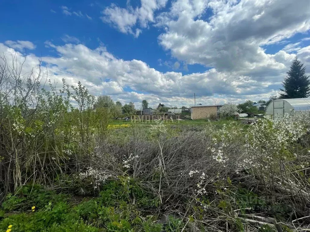 Участок в Марий Эл, Медведевский район, Пекшиксолинское с/пос, ... - Фото 1