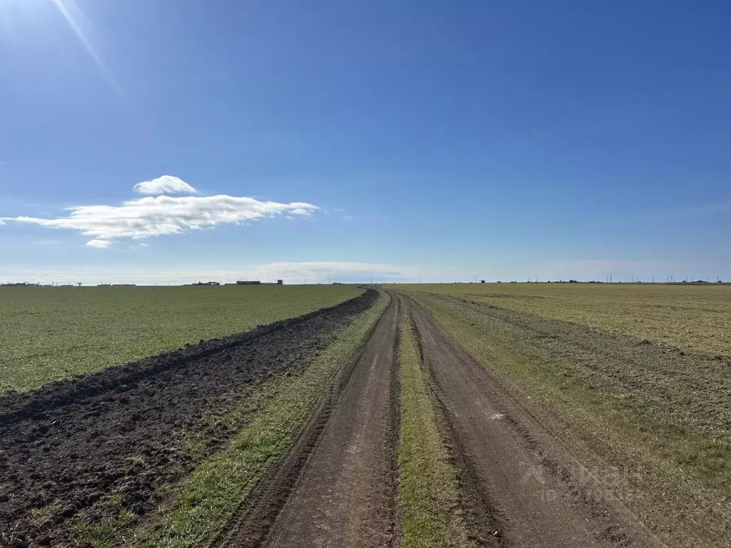 Участок в Крым, Сакский район, Штормовское с/пос, с. Хуторок  (1255.24 ... - Фото 2