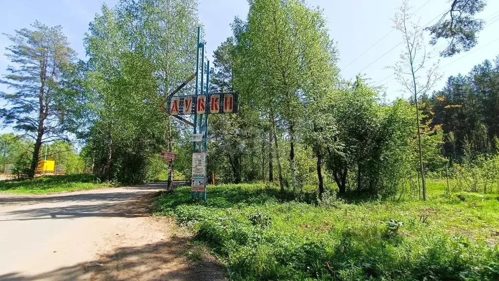 Дом в Костромская область, Кострома Дубки садоводческое товарищество, ... - Фото 2