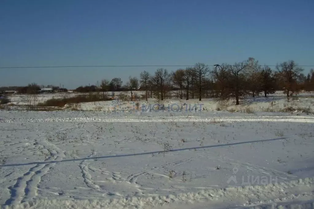 Участок в Нижегородская область, Воротынский городской округ, с. ... - Фото 0